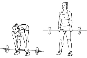 Stiff Legged Deadlift