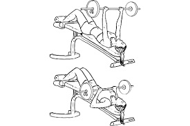Decline Barbell bench press