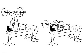 Flat bench barbell skull crushers