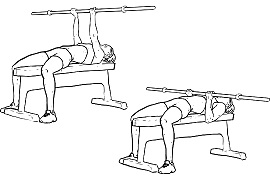 Reverse triceps bench press