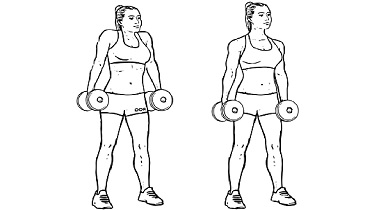 Dumbbell Shrug