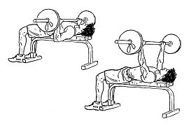 Barbell bench press
