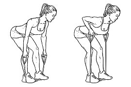 Bent over rows