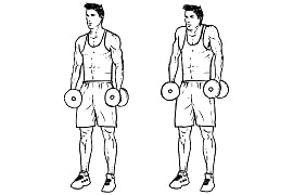 Dumbbell Shrug