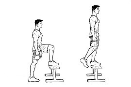 Dumbbell step up