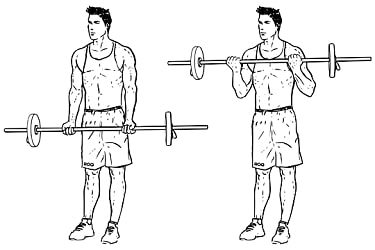 EZ bar curl