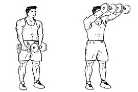 Shoulder Front Raises
