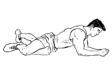 Inner Thigh Adductor