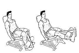 Leg Curl