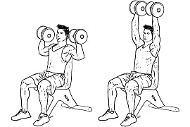Seated Overhead Dumbbell Press