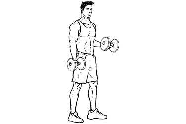 Standing curl