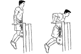 Weighted Tricep Dips