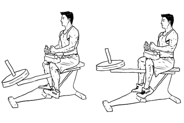 Seated Calf Raise